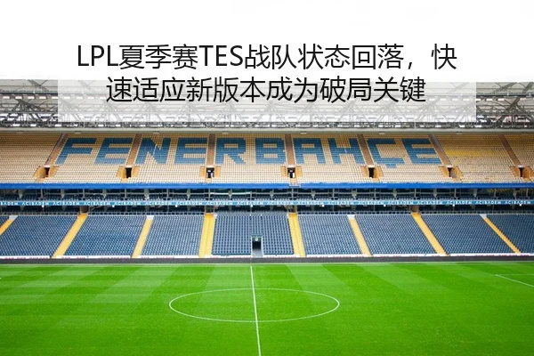 LPL夏季赛TES战队状态回落，快速适应新版本成为破局关键